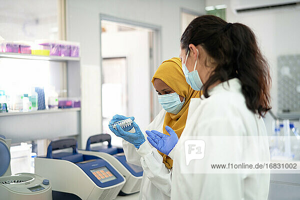 Female scientists in face masks with specimen holder in laboratory