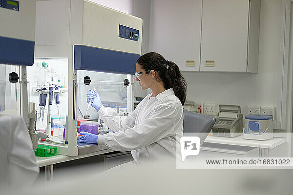 Wissenschaftlerin mit Pipette bei der Arbeit am Abzug im Labor