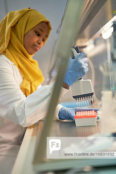 Weibliche Wissenschaftlerin im Hijab füllt Pipettentablett am Abzug im Labor