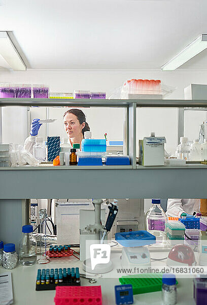 Weibliche Wissenschaftlerin mit Probentablett im Labor