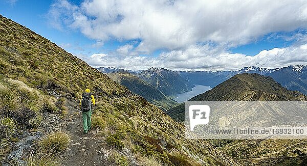 Hiker on Kepler Track  Great Walk  view of the South Fiord of Lake Te Anau  Murchison Mountains in the background  Fiordland National Park  Southland  New Zealand  Oceania