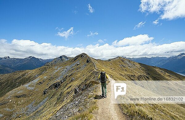Wanderer auf Wanderweg Kepler Track  Great Walk  Ausblick auf Kepler Mountains  Fiordland National Park  Southland  Neuseeland  Ozeanien