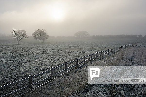 Morgennebel und Frost im Spätherbst in der Landschaft von Wrington  North Somerset  England.