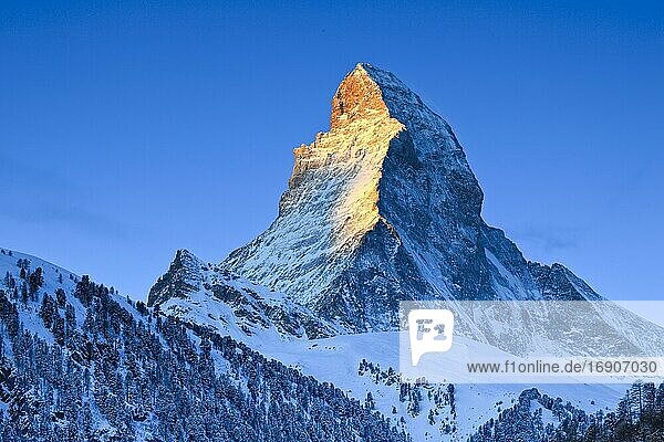 Matterhorn  4478 (m)  Zermatt  Wallis  Schweiz  Europa