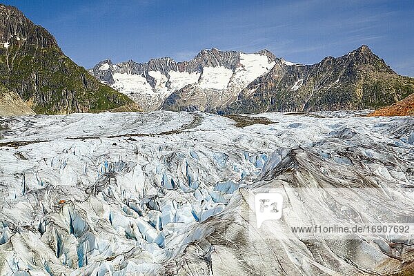 Wannenhörner und Aletsch Gletscher  Wallis  Schweiz  Europa