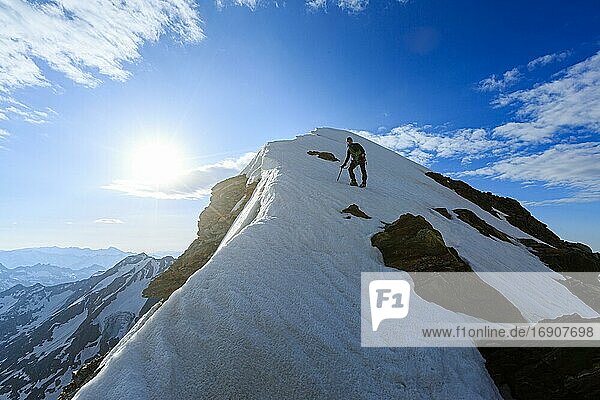 Climbers ascending the Studerhorn from the Oberen Studerjoch  Canton Valais  Switzerland  Europe