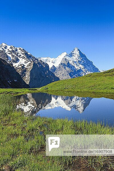 Große Scheidegg  Eiger und Mönch  Grindelwald  Schweiz  Europa