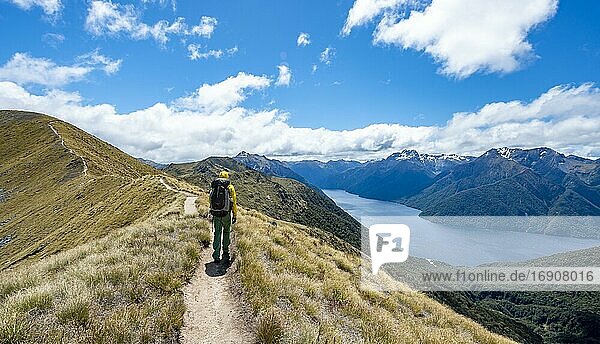 Wanderer auf Wanderweg  Ausblick auf den South Fiord des Lake Te Anau  hinten Murchison Mountains  am Wanderweg Kepler Track  Great Walk  Fiordland National Park  Southland  Neuseeland  Ozeanien