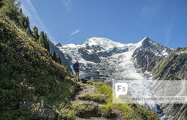 Hiker on hiking trail  mountain landscape  view on glacier Glacier de Taconnaz  hiking La Jonction  Chamonix  Haute-Savoie  France  Europe