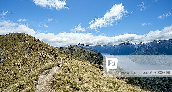 Wanderer auf Wanderweg Kepler Track  Ausblick auf South Fiord des Lake Te Anau  hinten Murchison Mountains und Kepler Mountains  Great Walk  Fiordland National Park  Southland  Neuseeland  Ozeanien