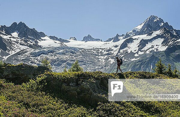 Hiker walking in front of mountain panorama from Aiguillette des Posettes  behind summit of Aiguille de Tour and Aiguille de Chardonnet  Chamonix  Haute-Savoie  France  Europe