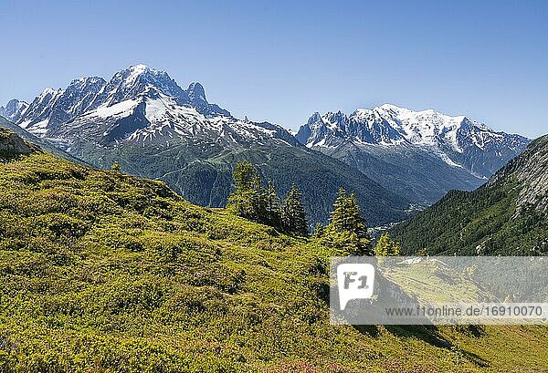Blick ins Tal  Bergpanorama vom Aiguillette de Poisettes  links Aiguille Verte  rechts Aiguille du Midi und Mont Blanc  Chamonix  Haute-Savoie  Frankreich  Europa