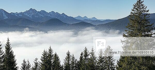 Blick vom Hoernle über ein Nebelmeer  das das Tal der Ammer in Richtung Füssen verdeckt. Bayerische Alpen bei Unterammergau im Werdenfelser Land (Landkreis Werdenfels). Europa  Deutschland  Bayern.