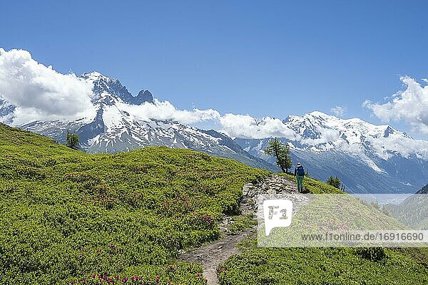 Hiker on a hiking trail  Aiguilette des Posettes  in the background mountain peaks Aiguille de Chamois and Aiguille de Praz-Torrent  Chamonix  Haute-Savoie  France  Europe