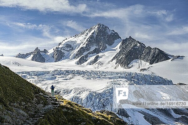 Hiker on trail to Glacier du Tour  glacier and mountain peak  high alpine landscape  Aiguille de Chardonnet  Chamonix  Haute-Savoie  France  Europe