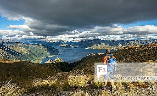 Hiker looks into the distance  view of Lake Hawea  lake and mountain landscape  view from Isthmus Peak  Wanaka  Otago  South Island  New Zealand  Oceania
