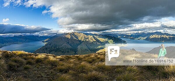 Hiker looks into the distance  view of Lake Hawea and Lake Wanaka in the evening light  lake and mountain landscape  view from Isthmus Peak  Wanaka  Otago  South Island  New Zealand  Oceania