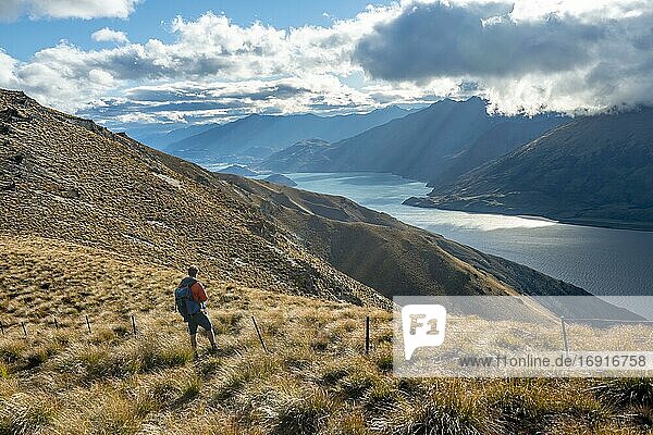 Wanderer blickt in die Ferne  Blick auf Lake Wanaka  See und Berglandschaft  Ausblick vom Isthmus Peak  Wanaka  Otago  Südinsel  Neuseeland  Ozeanien