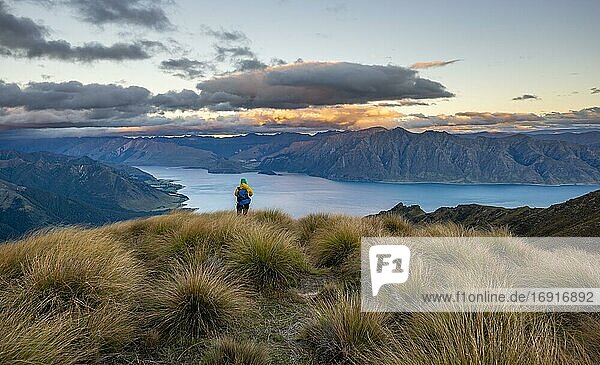 Hiker looks into the distance  view of Lake Hawea at sunset  lake and mountain landscape  view from Isthmus Peak  Wanaka  Otago  South Island  New Zealand  Oceania