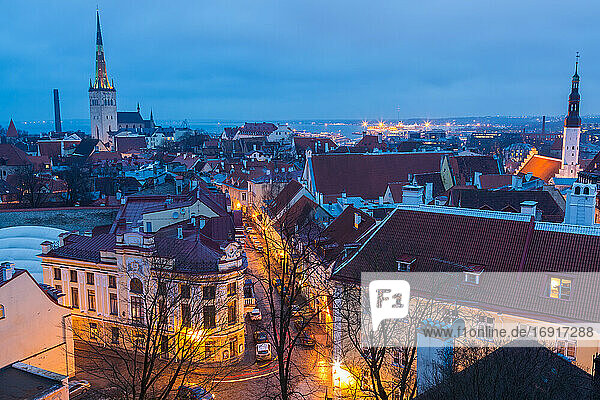 Blick auf die Altstadt in der Abenddämmerung  von Toompea  Tallinn  Estland