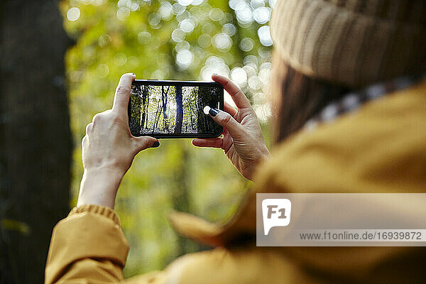 Frau hält Smartphone hoch und fotografiert Bäume