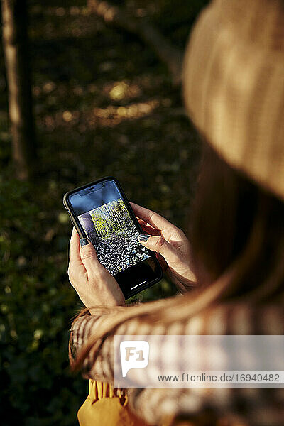 Frau steht im Wald und betrachtet ein Foto von Bäumen auf dem Smartphone