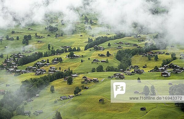 Viele Häuser auf Wiesen am Berghang bei Nebel  Blick auf Grindelwald  Berner Oberland  Schweiz  Europa