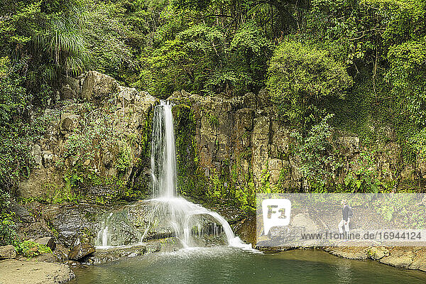 Waiau Falls  Waikato  Coromandel-Halbinsel  Nordinsel  Neuseeland  Pazifik