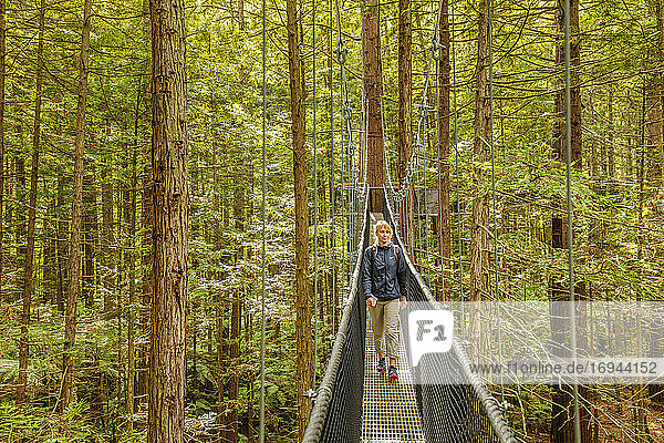 Redwood Treewalk  Canopy Pathway  Rotorua  Bay of Plenty  Nordinsel  Neuseeland  Pazifik