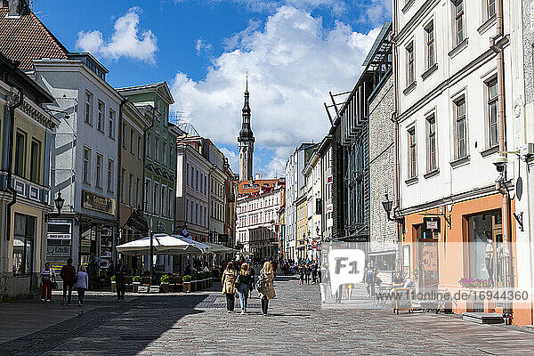 Old Hanseatic town of Tallinn  UNESCO World Heritage Site  Estonia  Europe
