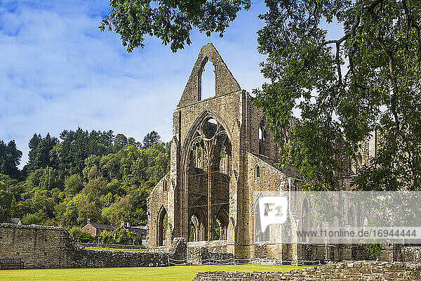 Tintern Abbey  Tintern  Wye Valley  Monmouthshire  Wales  Vereinigtes Königreich  Europa