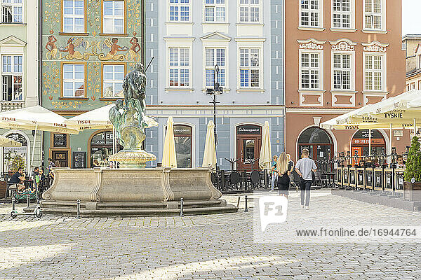 Neptunbrunnen auf dem Altstädter Ring  Poznan  Polen  Europa