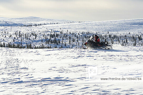 Mann bei einer Fahrt mit dem Schneemobil in der verschneiten Landschaft von Saariselka  Inari  Lappland  Finnland  Europa