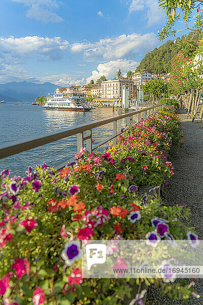 Flowers along the famous promenade surrounding Bellagio and Lake Como at sunset  Como province  Lombardy  Italian Lakes  Italy  Europe