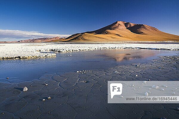 Chalviri Salt Flats (Salar de Chalviri)  Altiplano of Bolivia in Eduardo Avaroa National Reserve of Andean Fauna