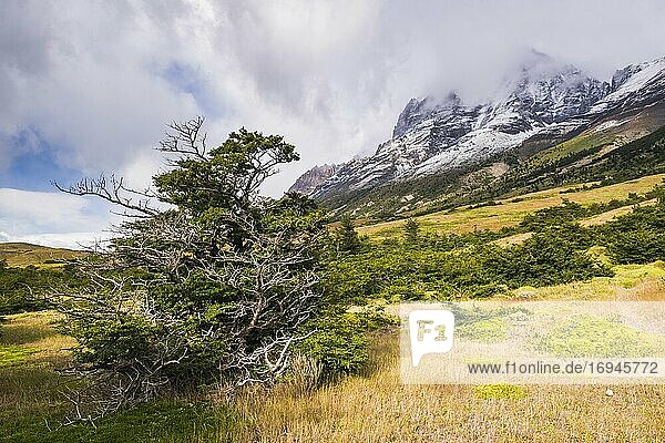 Torres del Paine National Park (Parque Nacional Torres del Paine)  Patagonien  Chile