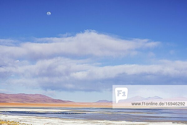 Mondaufgang über dem Salar de Chalviri  Altiplano von Bolivien im Eduardo Avaroa National Reserve of Andean Fauna