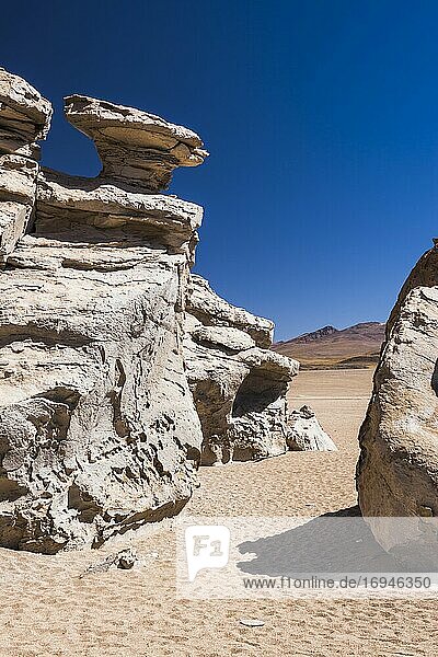 Durch Lava abgekühlte Felsformationen in der Siloli-Wüste (Teil der Atacama-Wüste) im Altiplano von Bolivien  Nationalreservat der Andenfauna Eduardo Avaroa