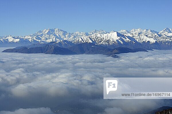 Monte Rosa Massiv erhebt sich über Wolkenmeer  Ausblick von Monte Lema  Luino  Lombardei  Italien  Schweiz  Europa
