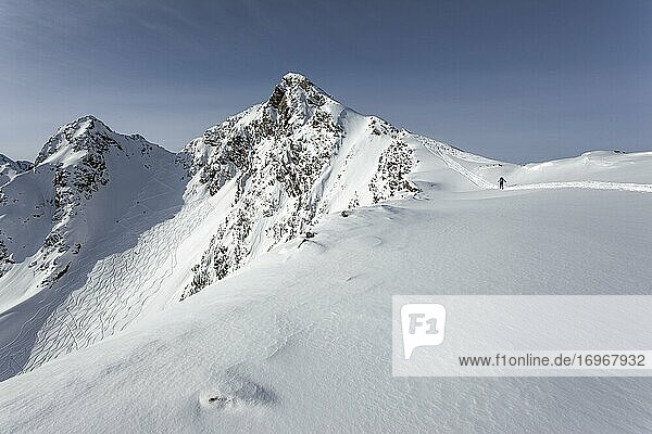 Ski tourer with ascent track  Zischgeles  Stubai Alps  Tyrol  Austria  Europe