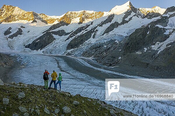 Sunrise  Three (hikers) in front of glacier  Agassizhorn and Großes Fiescherhorn  Upper Ice Sea  Mountain panorama  High alpine landscape with mountains and glacier  Schreckhorn  Bernese Oberland  Switzerland  Europe