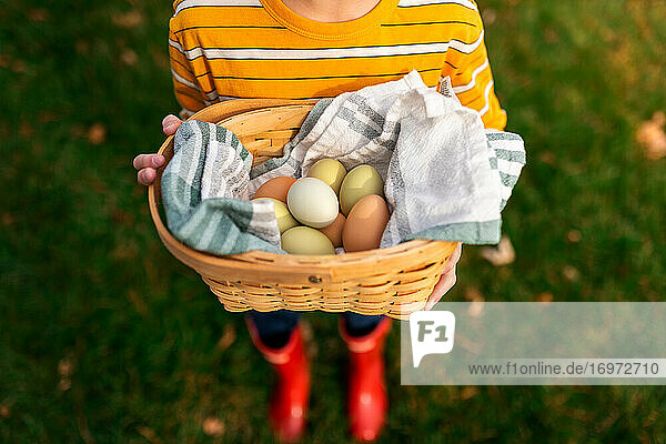 Ein Junge hält einen Korb voller frischer Hühnereier