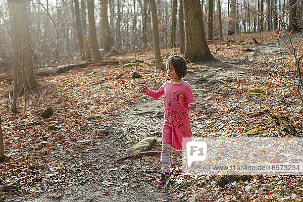 Ein kleines Mädchen geht im Herbst einen belaubten Weg entlang und hält einen gefundenen Schatz in der Hand
