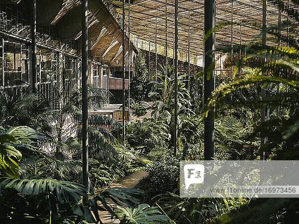 Architekturaufnahmen in den Botanischen Gärten von Estufa Fria
