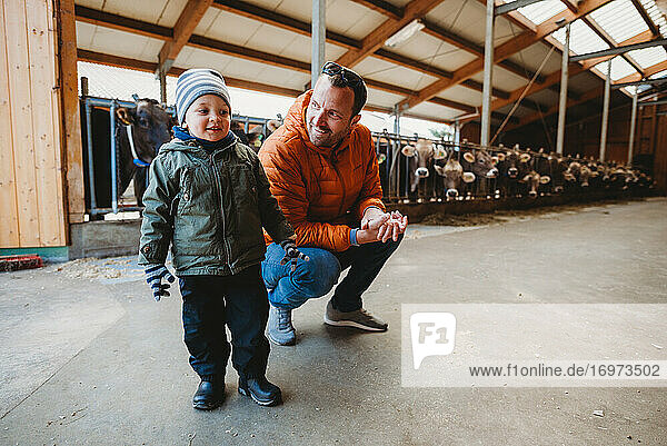 Vater und Sohn lächelnd in der Scheune mit Kühen dahinter im Winter