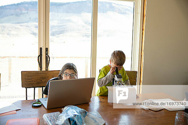 Junge und Mädchen arbeiten zu Hause an Schularbeiten
