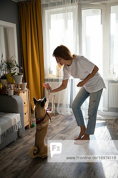Frau trainiert Hund zu Hause