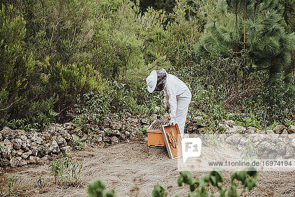 Eine junge Imkerin bei der Arbeit mit Bienen