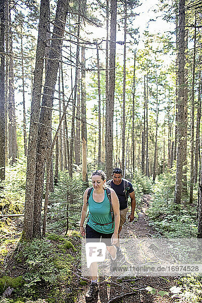 Mehrrassiges Paar wandert durch die Wälder von Maine auf dem Appalachian Trail