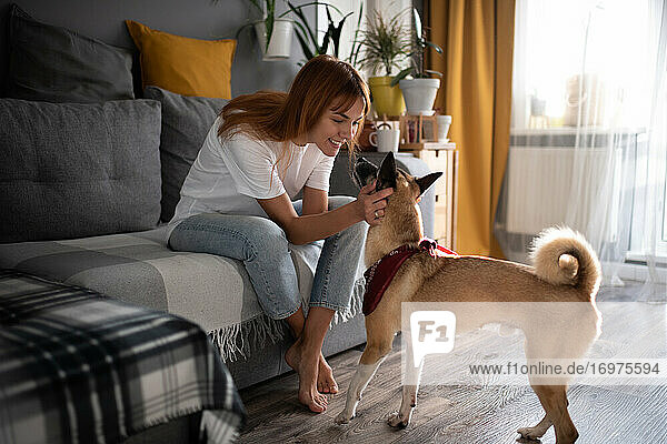 Cheerful lady petting dog at home